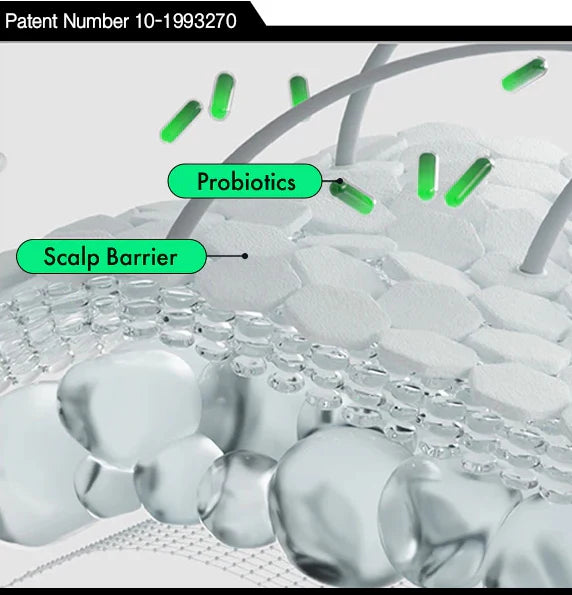 LABO-H Scalp Strengthening Shampoo Hair Loss Care